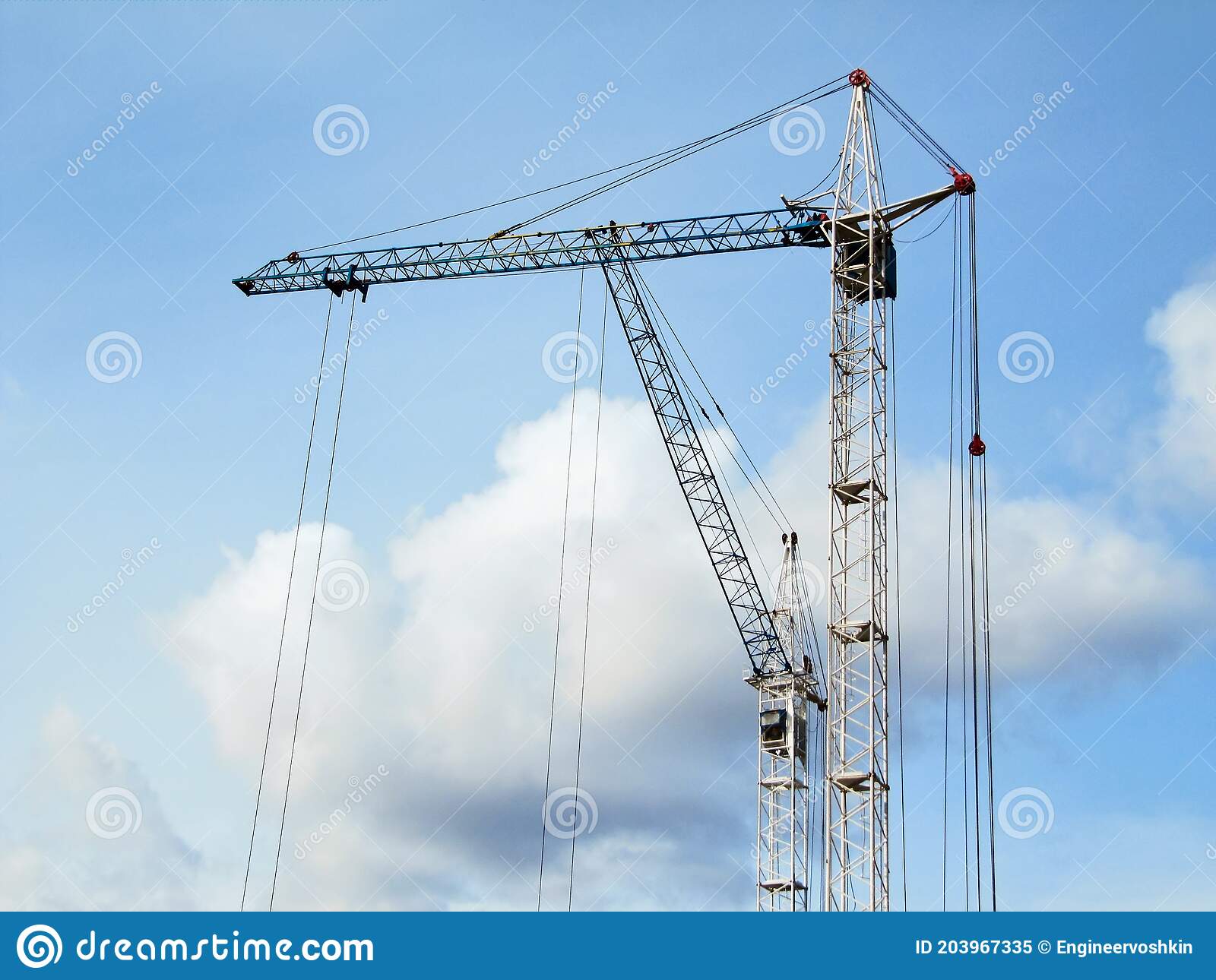 cranes in the sky download